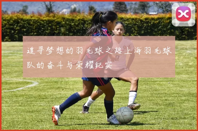 追寻梦想的羽毛球之路上海羽毛球队的奋斗与荣耀纪实